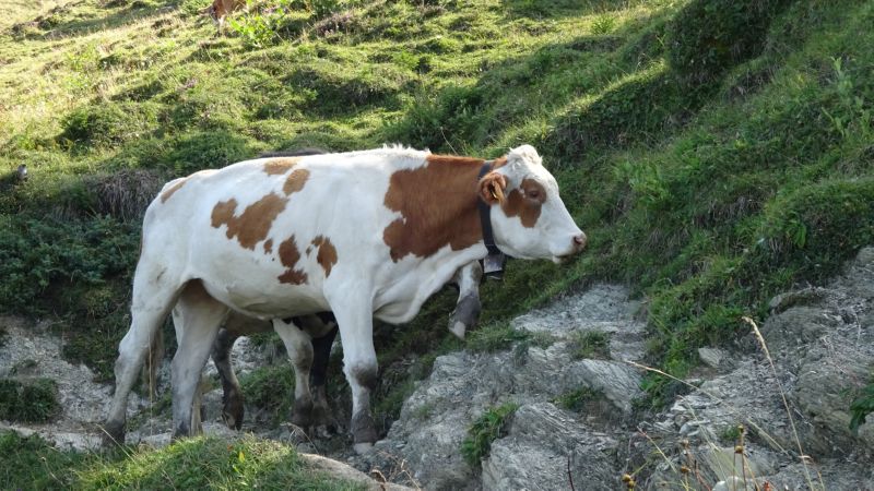 Hohe Kugel_250819_023